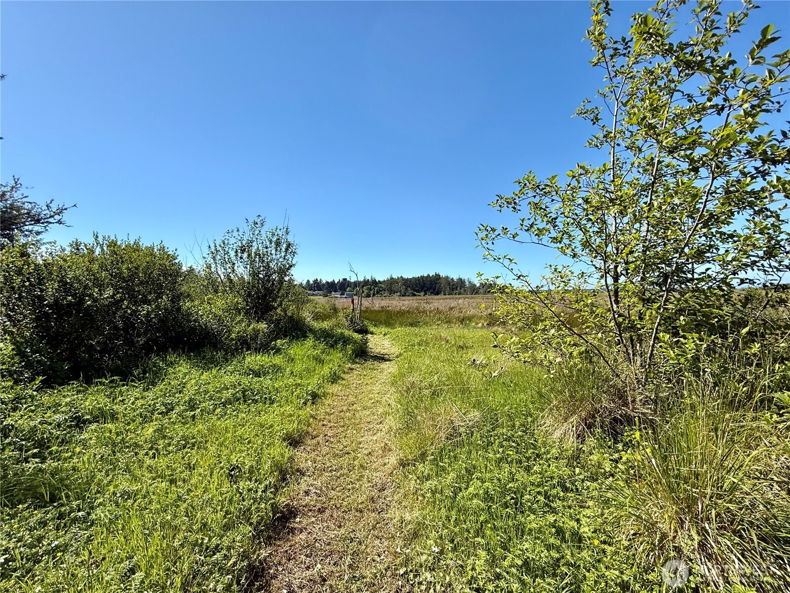 114 E Bayview Lane , Westport, WA 98595