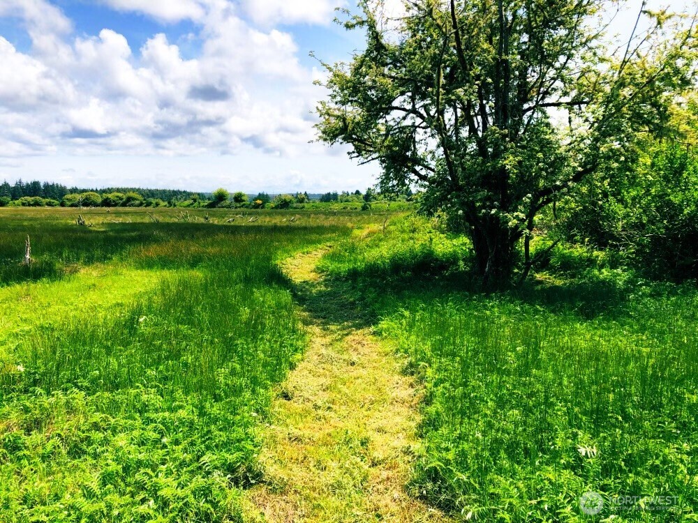 114 E Bayview Lane , Westport, WA 98595