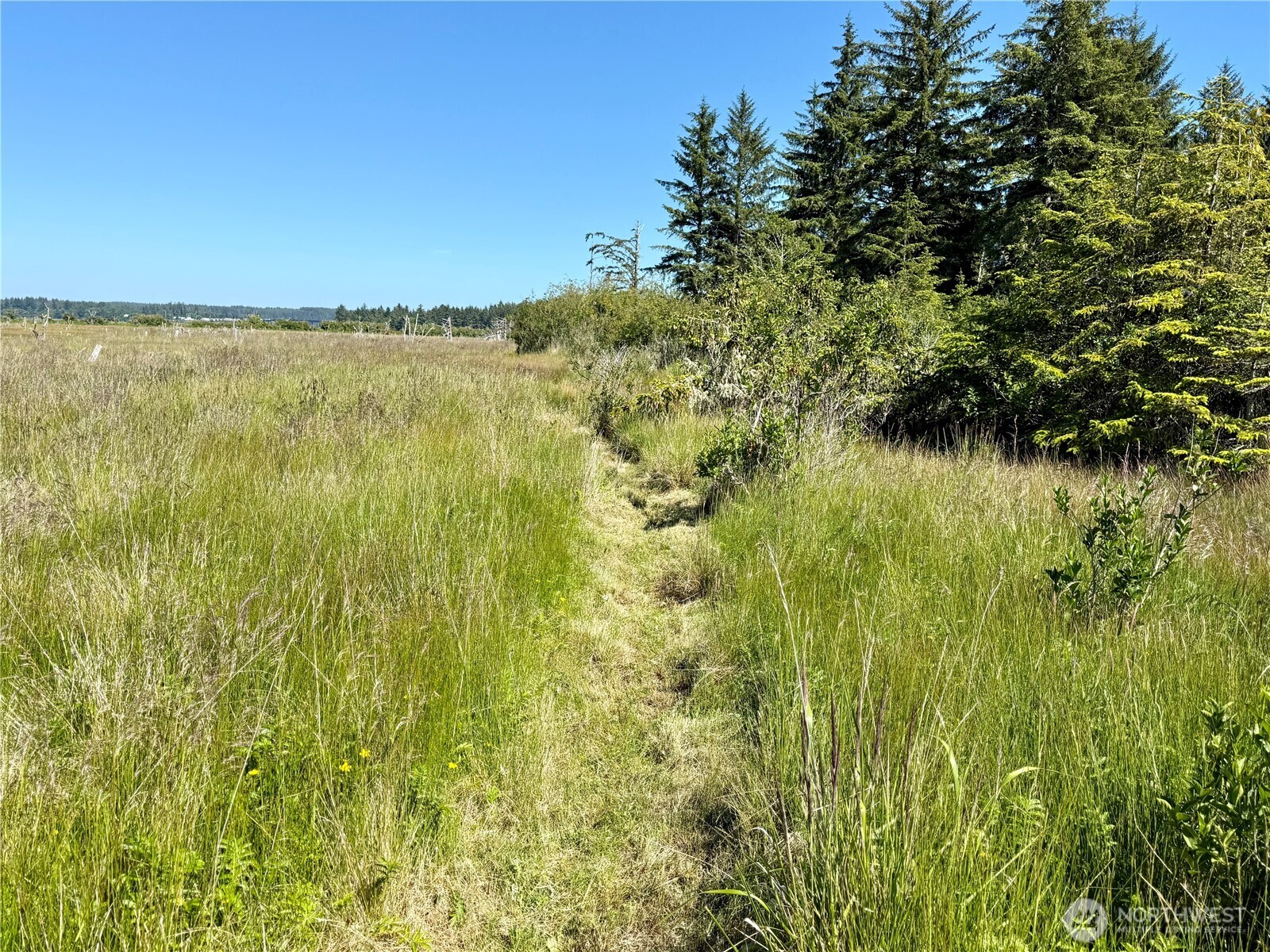 114 E Bayview Lane , Westport, WA 98595