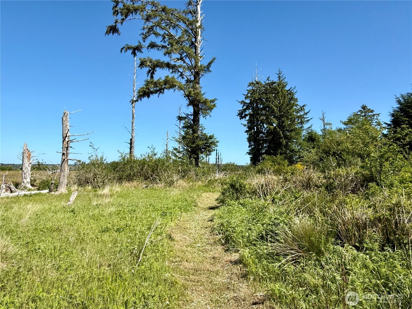 114 E Bayview Lane , Westport, WA 98595