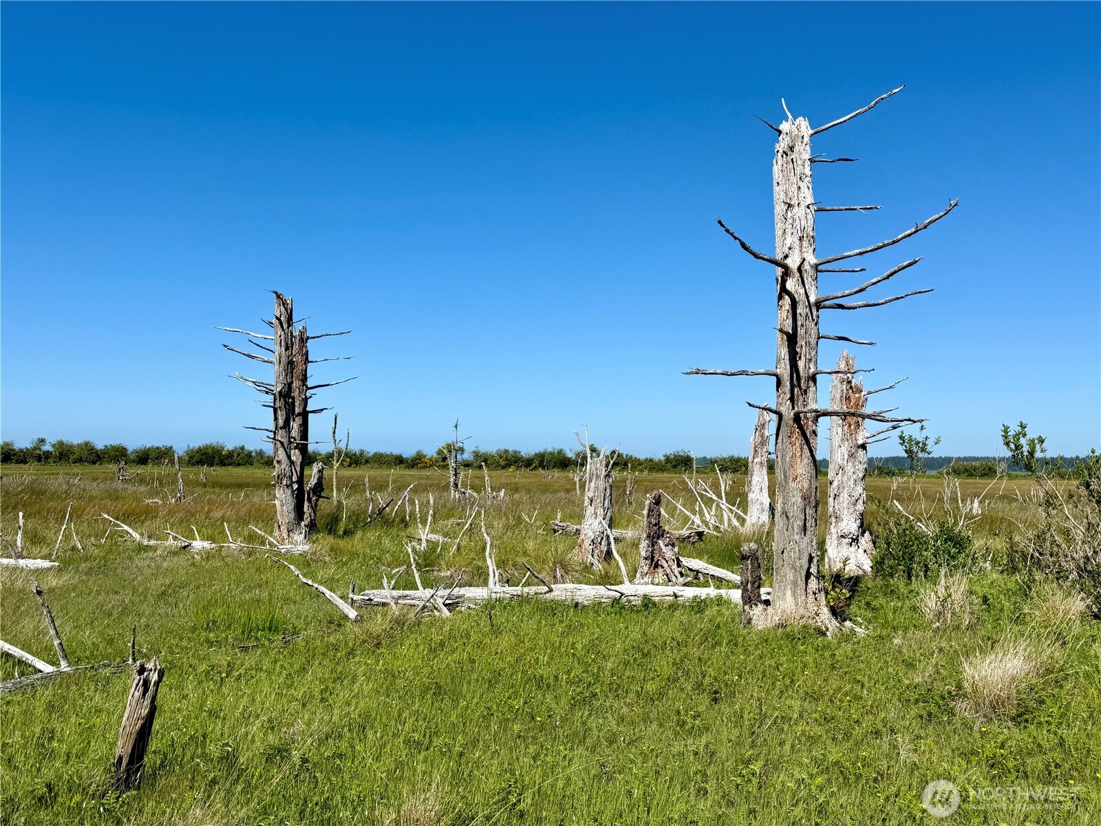 114 E Bayview Lane , Westport, WA 98595