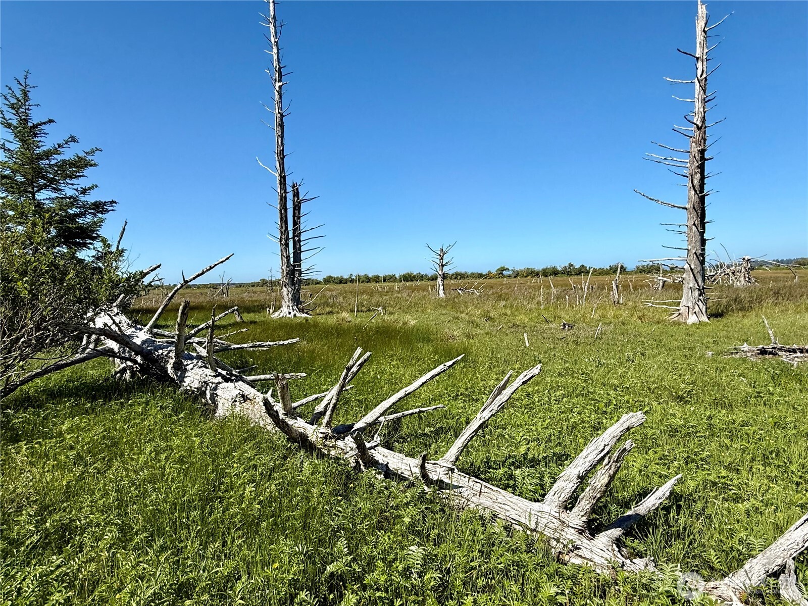 114 E Bayview Lane , Westport, WA 98595