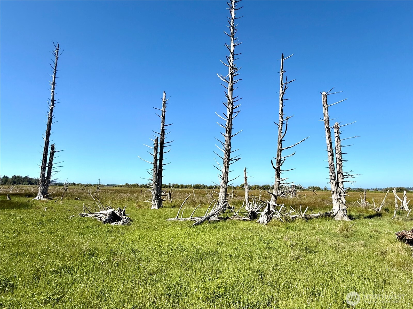 114 E Bayview Lane , Westport, WA 98595