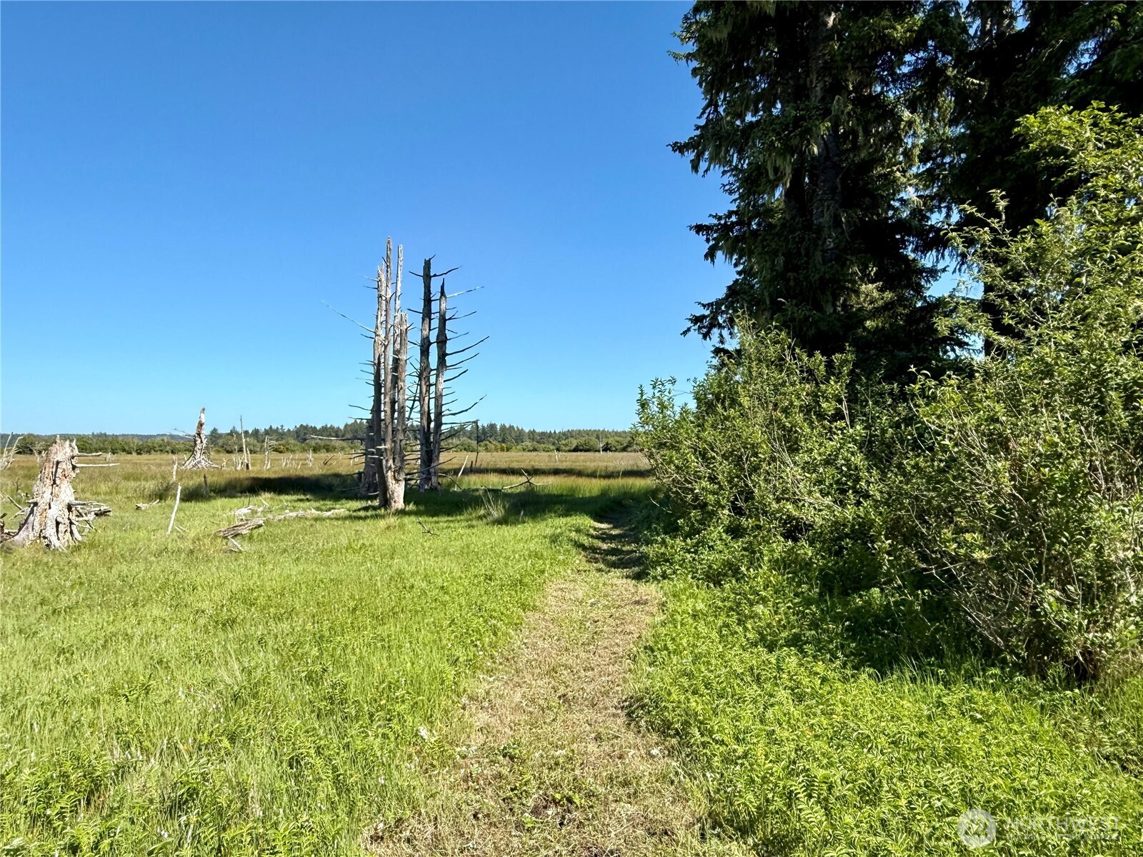 114 E Bayview Lane , Westport, WA 98595