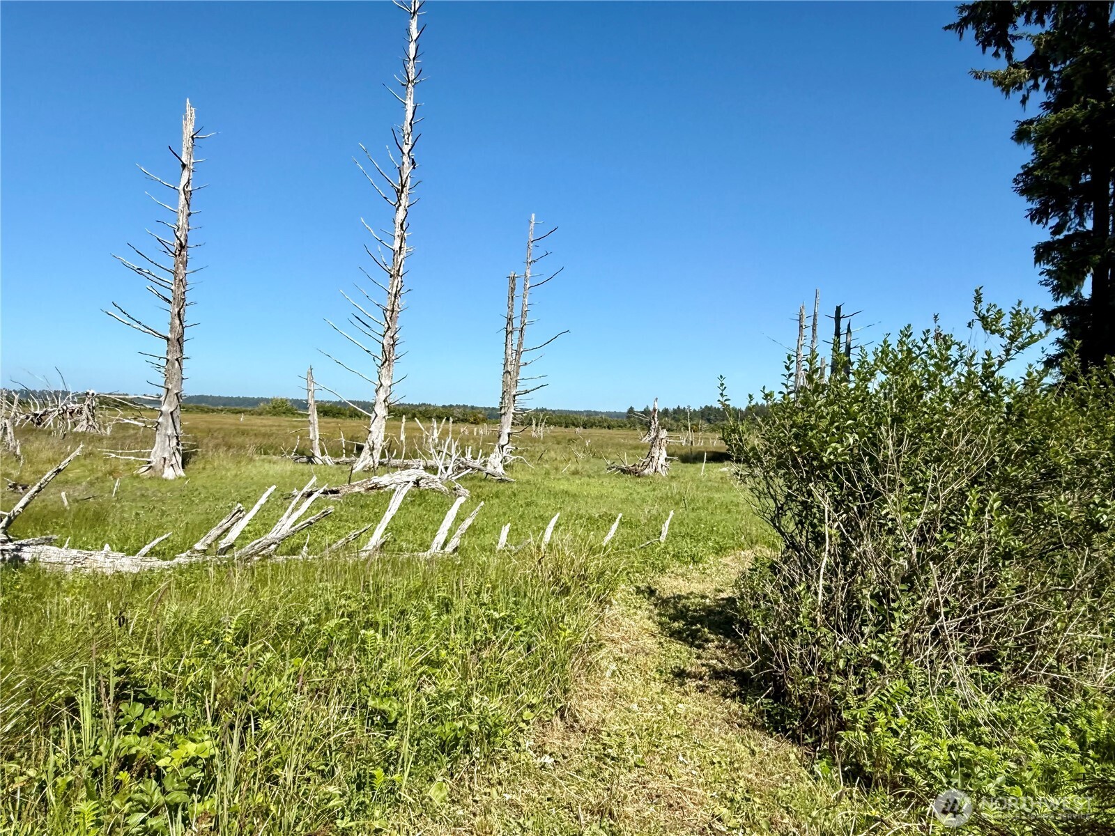 114 E Bayview Lane , Westport, WA 98595