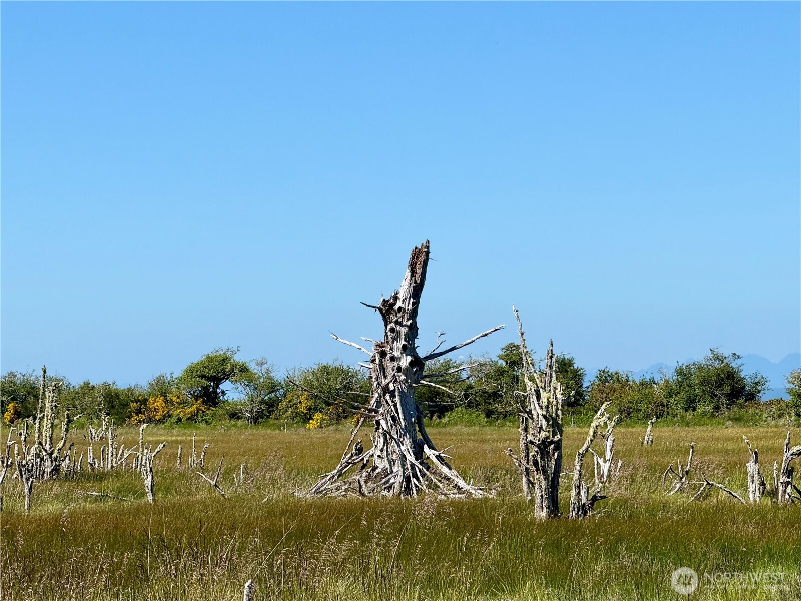 114 E Bayview Lane , Westport, WA 98595