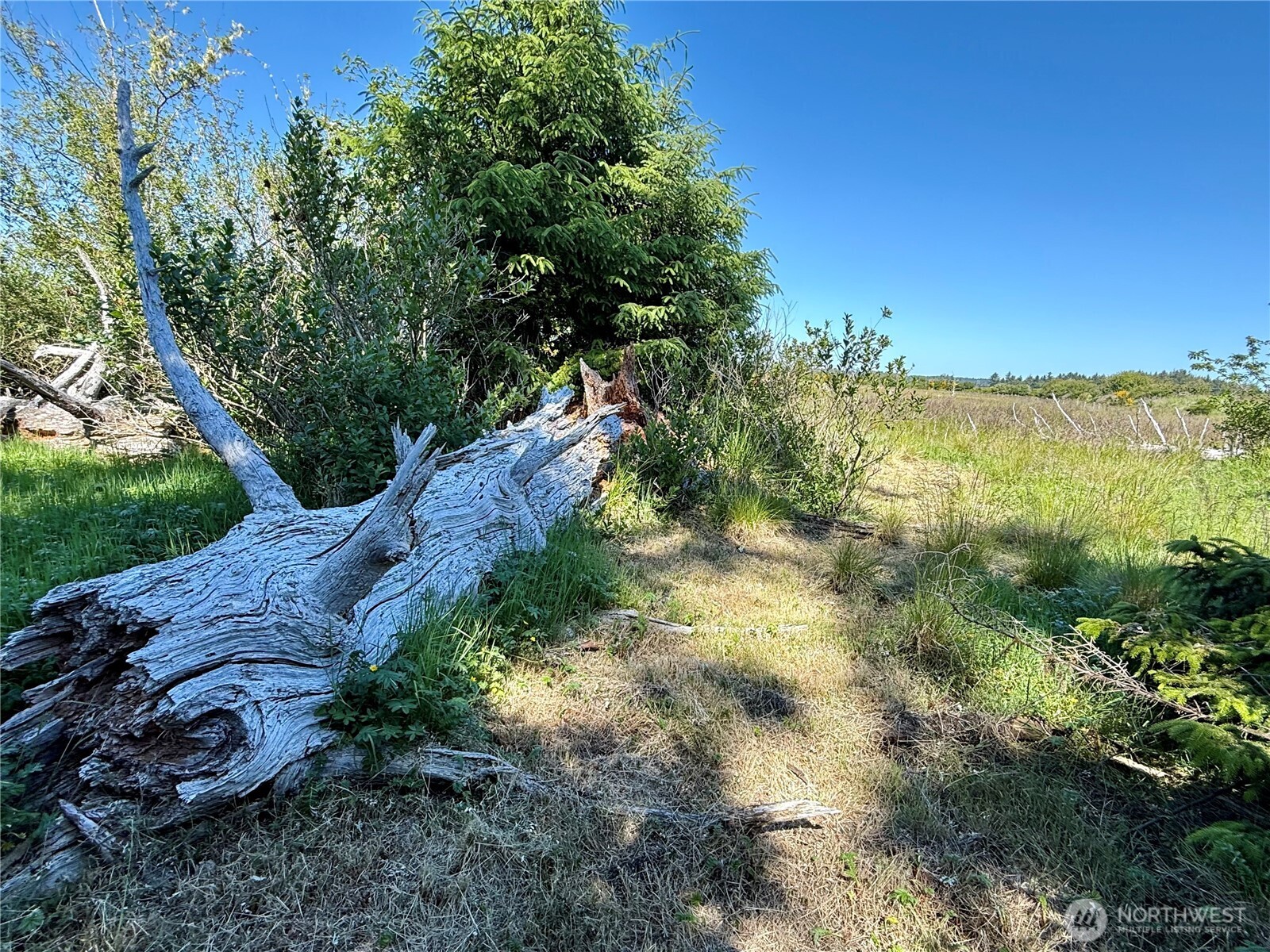 114 E Bayview Lane , Westport, WA 98595