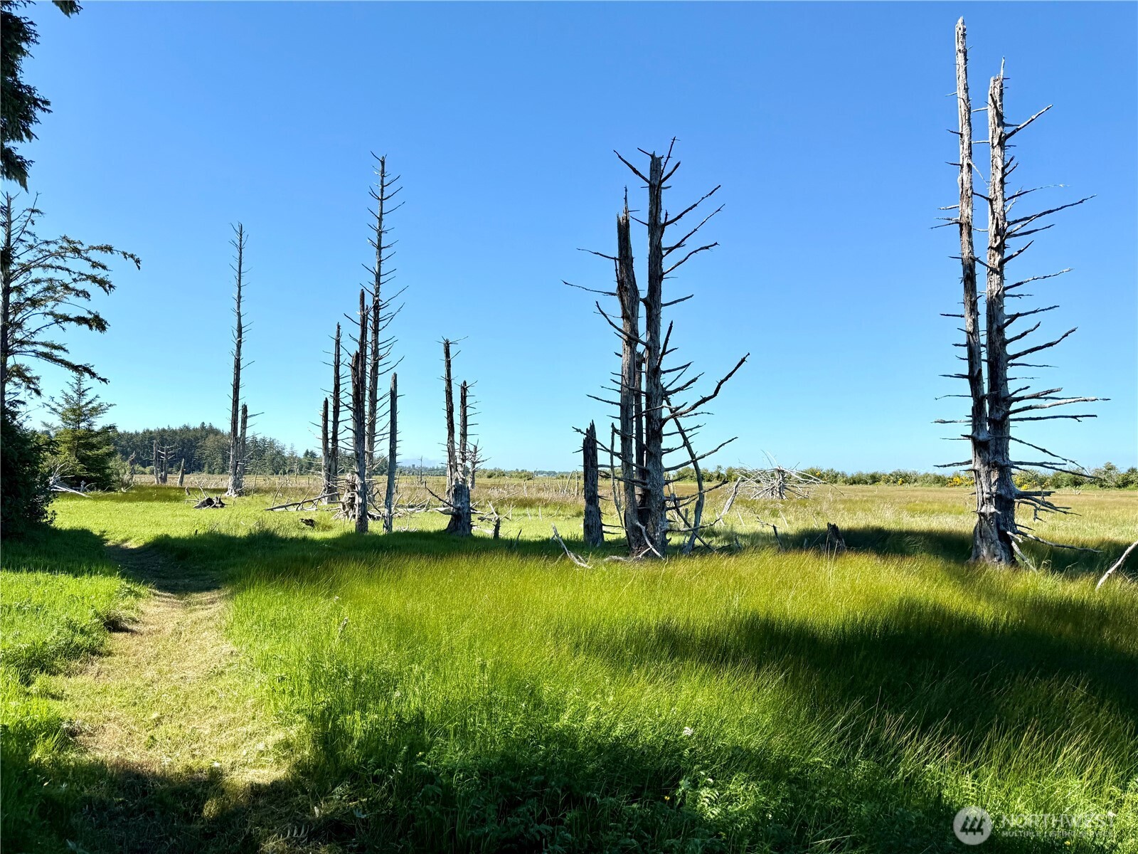 114 E Bayview Lane , Westport, WA 98595