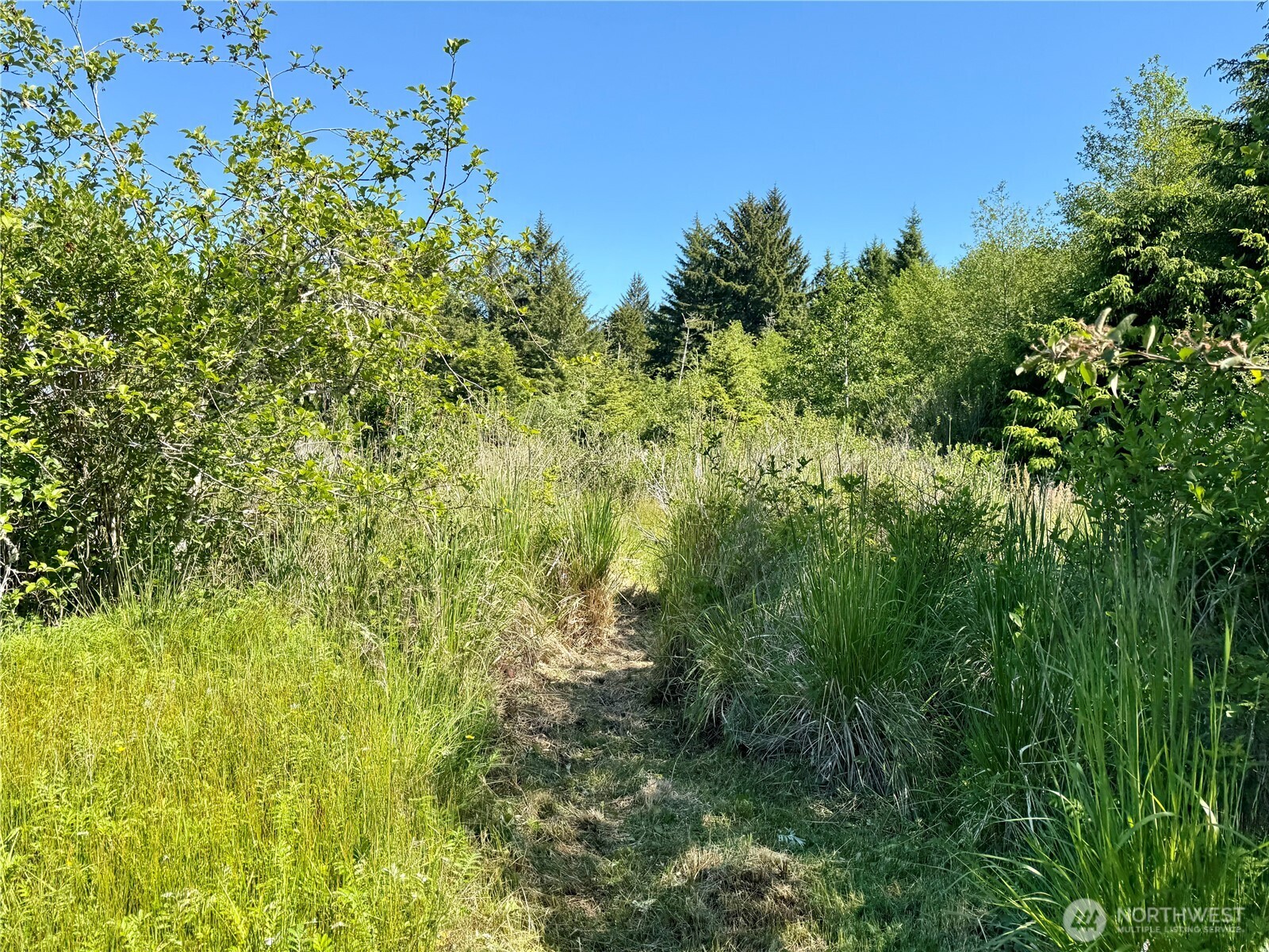 114 E Bayview Lane , Westport, WA 98595