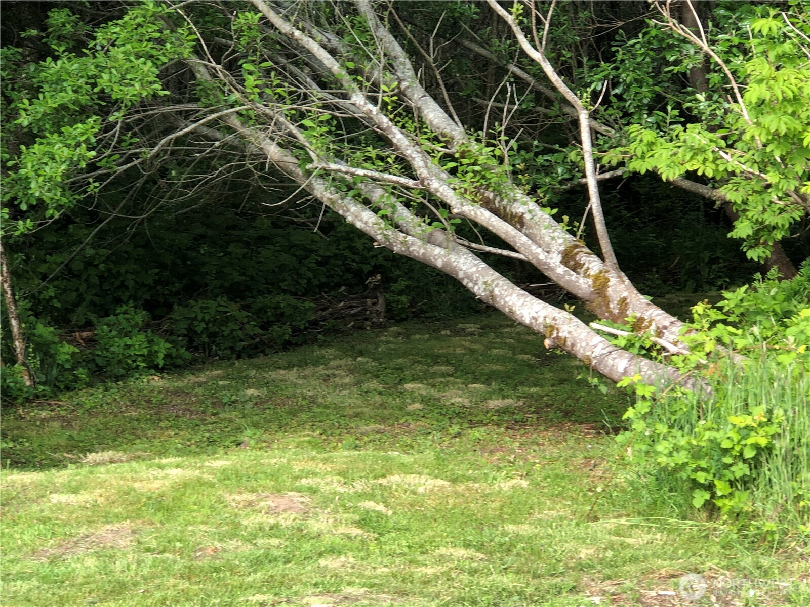 114 E Bayview Lane , Westport, WA 98595