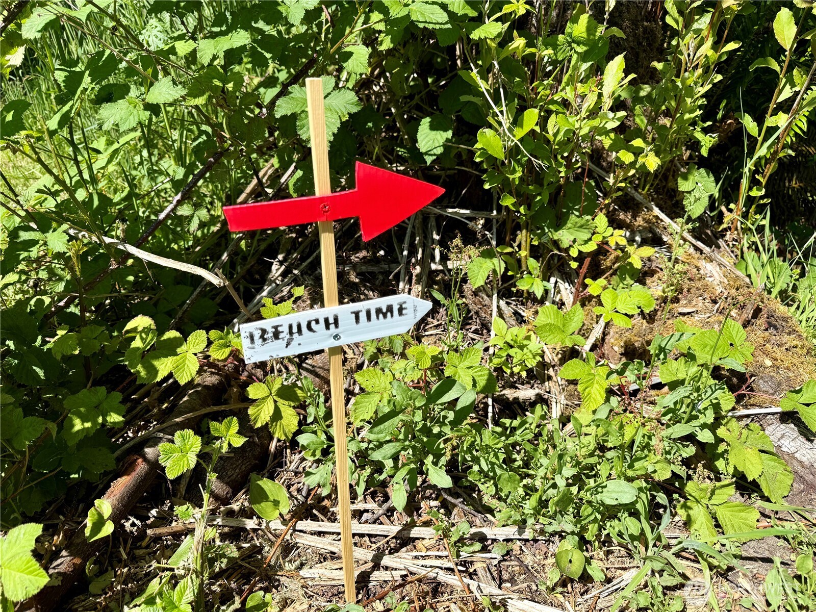 114 E Bayview Lane , Westport, WA 98595