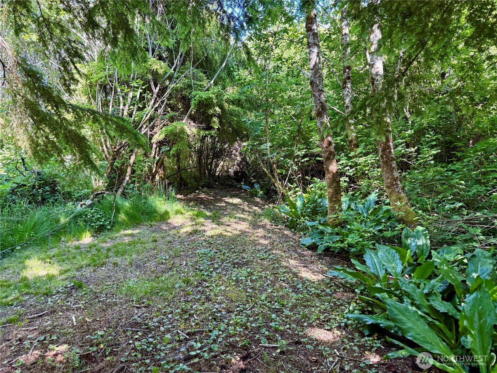 114 E Bayview Lane , Westport, WA 98595