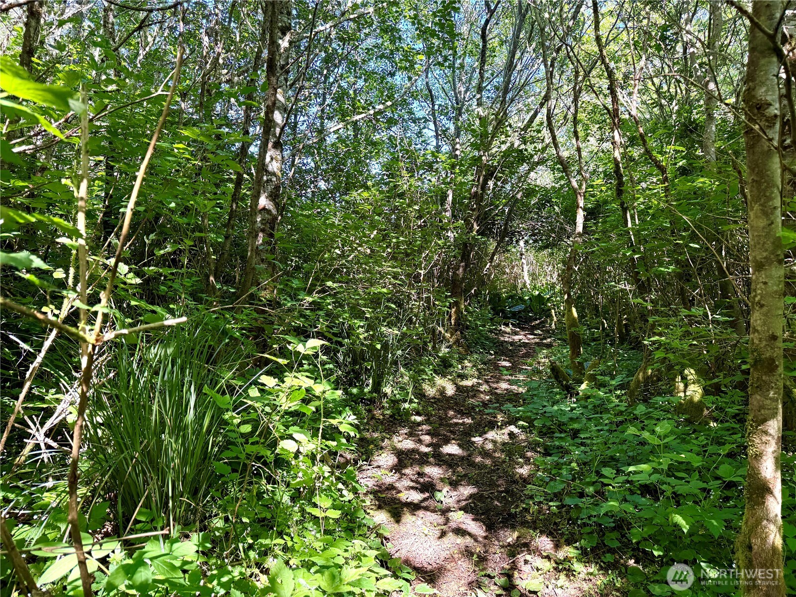 114 E Bayview Lane , Westport, WA 98595