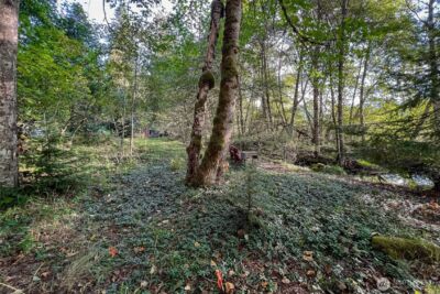 104 Rainbow Place , White Pass, WA 98361 - Photo 13