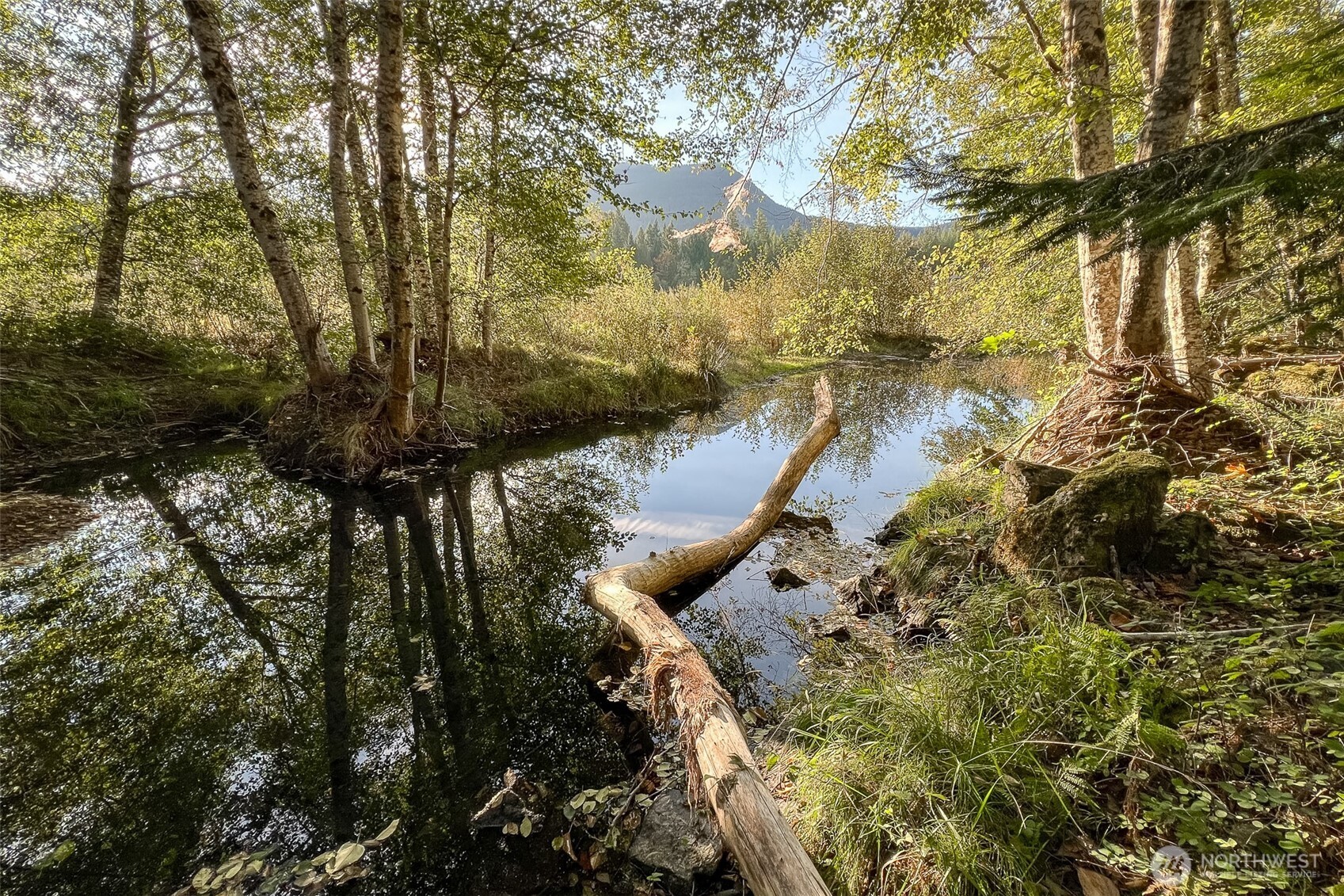 104 Rainbow Place , White Pass, WA 98361