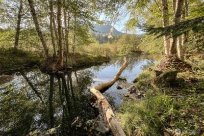 104 Rainbow Place , White Pass, WA 98361 - Photo 16