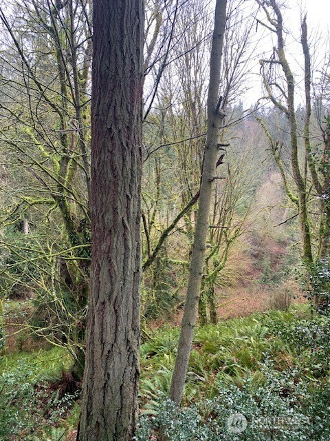 0 XXX Hellman Road , Clinton, WA 98236