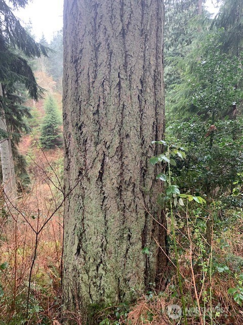 0 XXX Hellman Road , Clinton, WA 98236