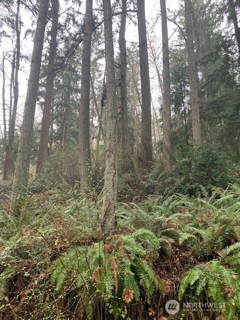 0 XXX Hellman Road , Clinton, WA 98236