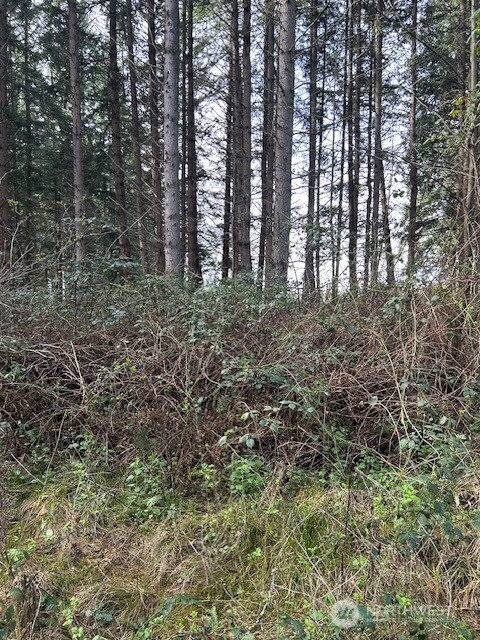 0 XXX Hellman Road , Clinton, WA 98236