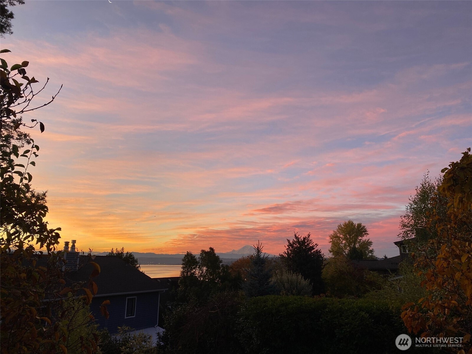 6531 Seward Park (not on arterial) Avenue S, Seattle, WA 98118-3447