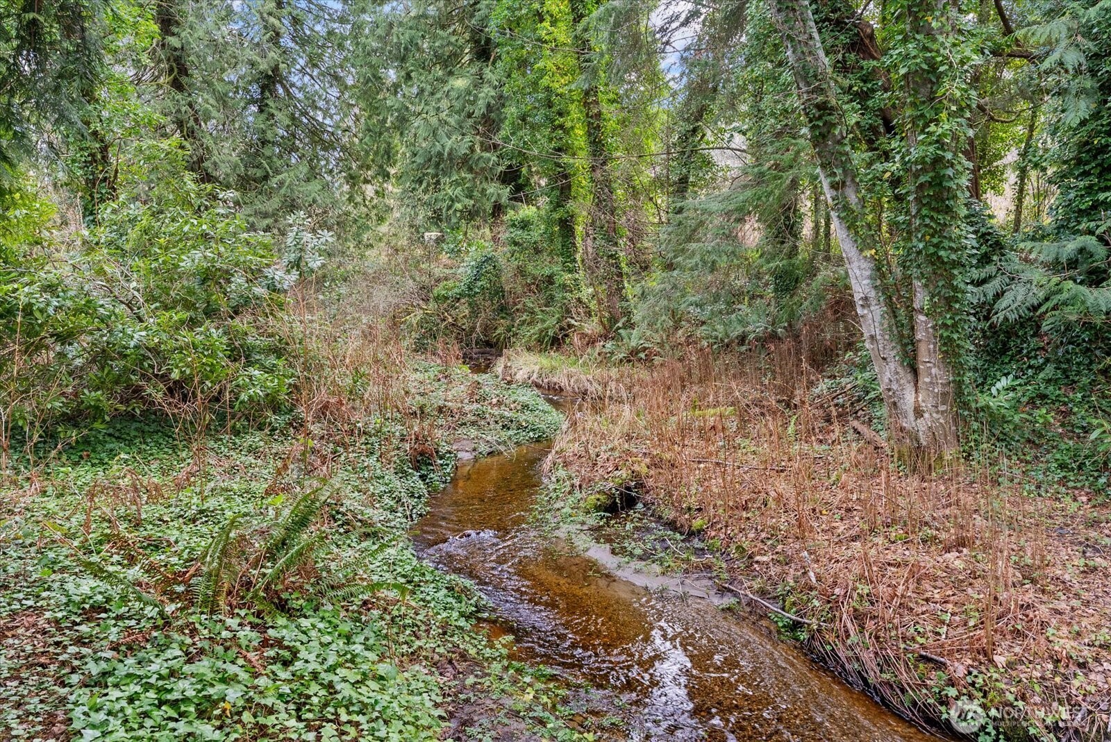 14708 97th Avenue Court NW, Gig Harbor, WA 98329