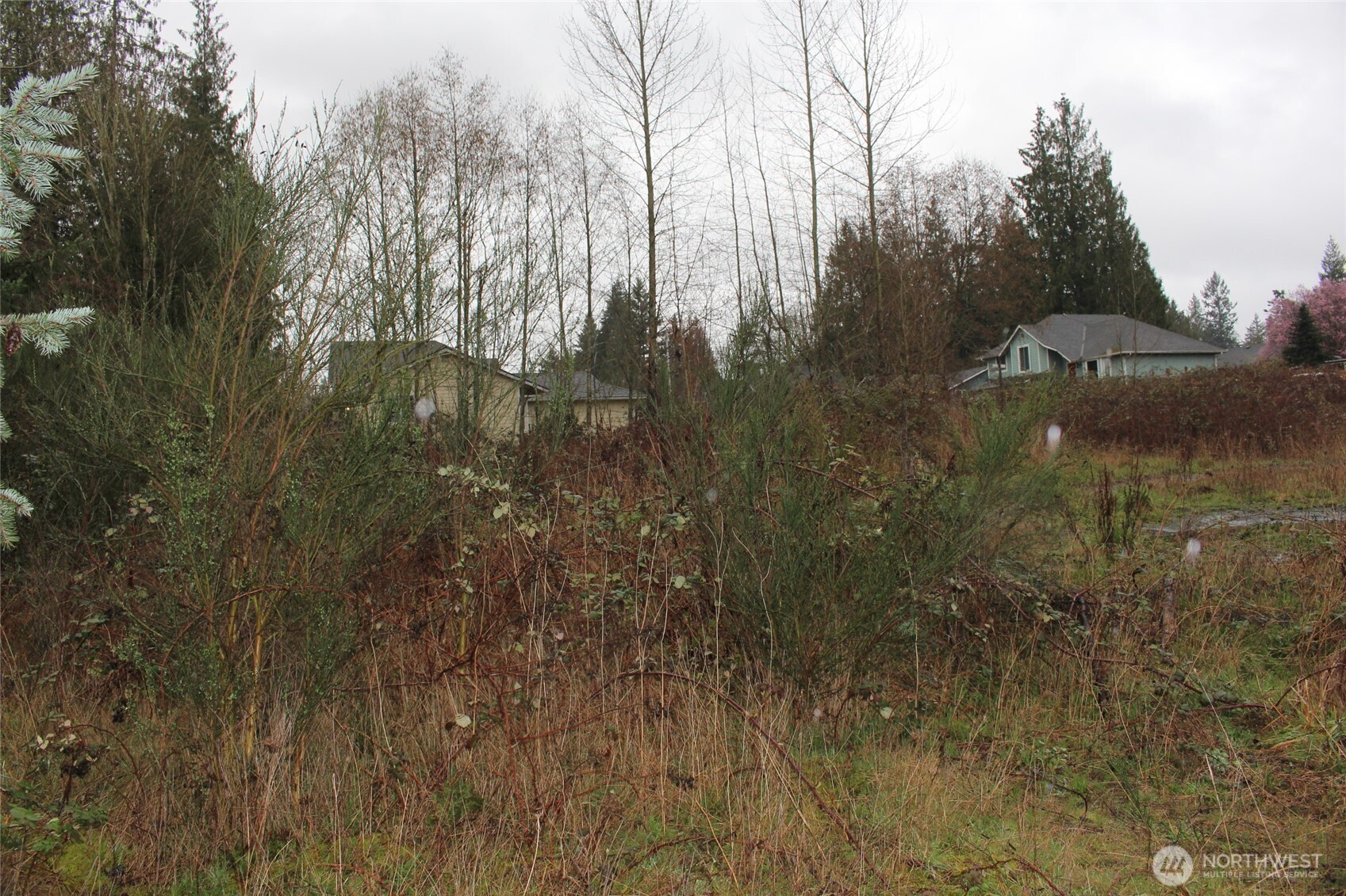 9119 20th Street SE, Lake Stevens, WA 98258