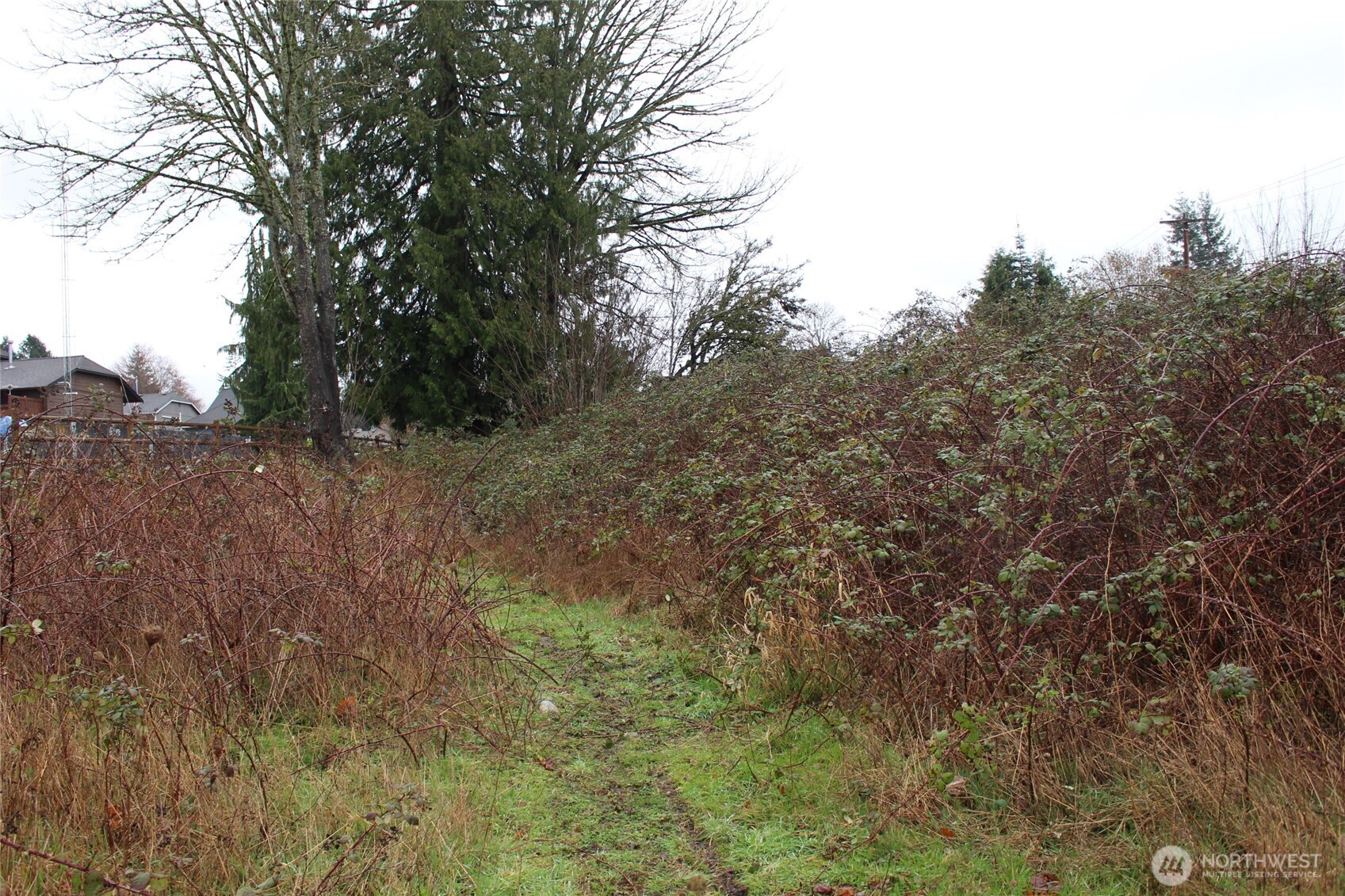 9119 20th Street SE, Lake Stevens, WA 98258