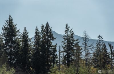 3601 Page , Port Angeles, WA 98362 - Photo 40