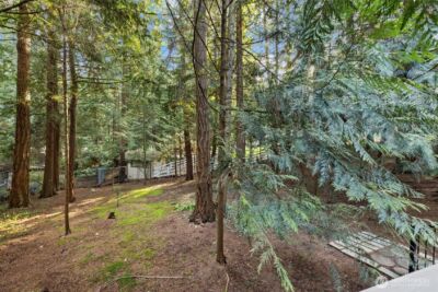 13619 NE 28th Street , Bellevue, WA 98005 - Photo 33