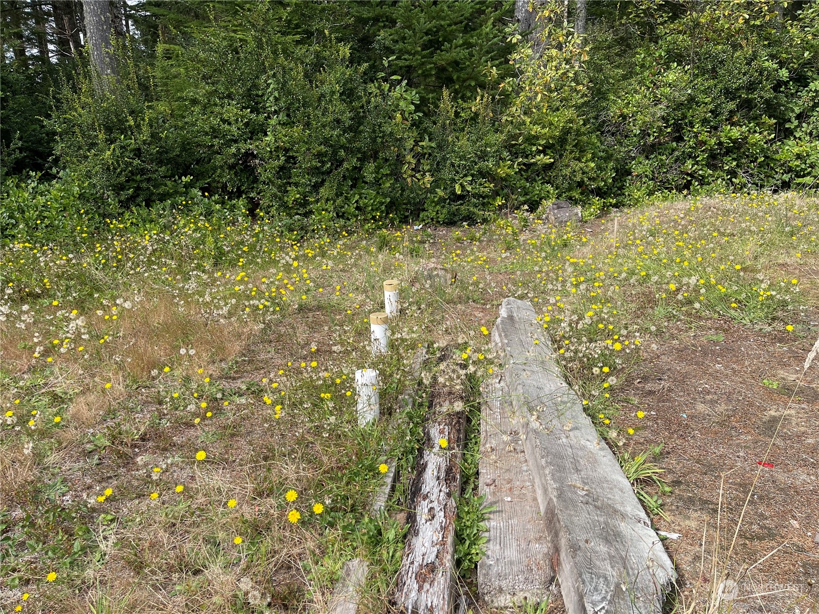 21517 Birch Place , Ocean Park, WA 98640