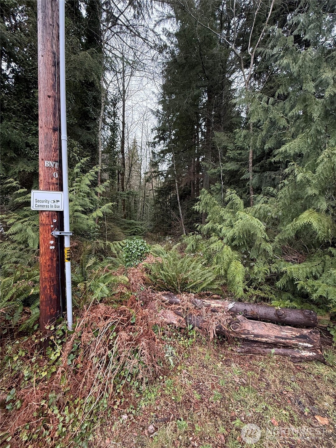 12313 150th Street NE, Arlington, WA 98223-9435