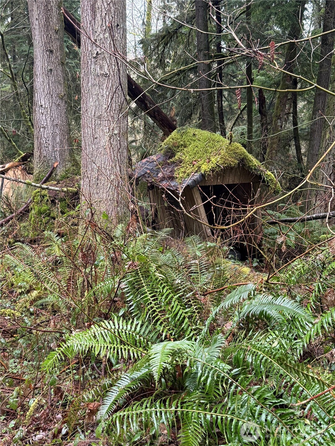 12313 150th Street NE, Arlington, WA 98223-9435