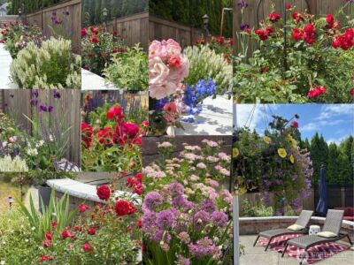 3807 Lanier Court SE, Lacey, WA 98503 - Photo 37