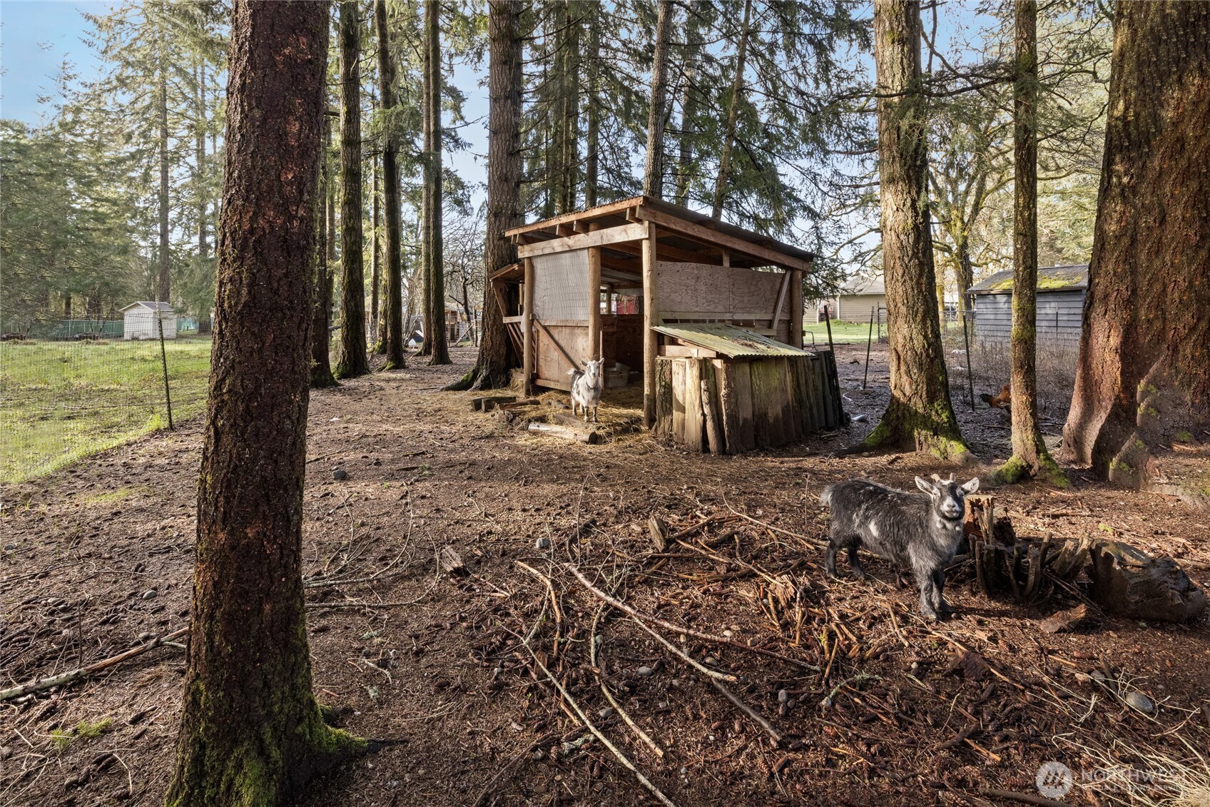 1520 E Shelton Springs Road , Shelton, WA 98584