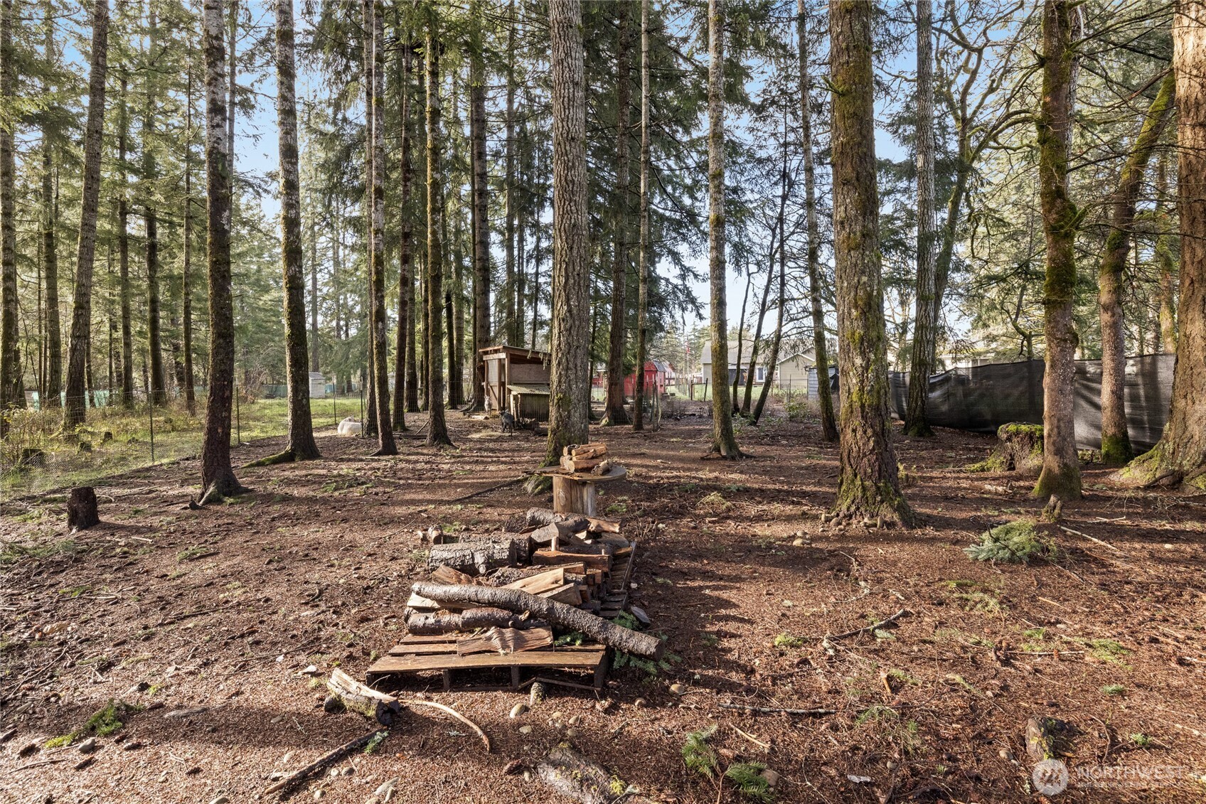 1520 E Shelton Springs Road , Shelton, WA 98584