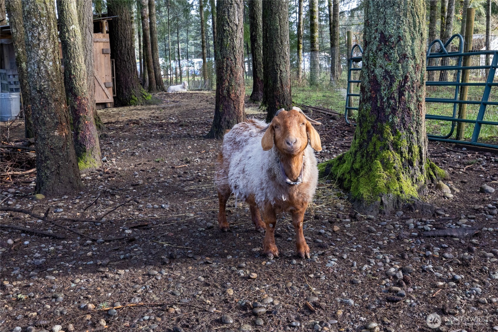 1520 E Shelton Springs Road , Shelton, WA 98584