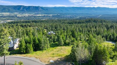 31 Forest Ridge Drive , Cle Elum, WA 98922 - Photo 16