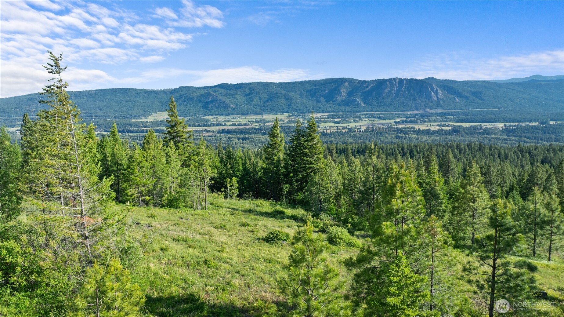 31 Forest Ridge Drive , Cle Elum, WA 98922