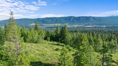 31 Forest Ridge Drive , Cle Elum, WA 98922 - Photo 19