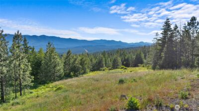 31 Forest Ridge Drive , Cle Elum, WA 98922 - Photo 3