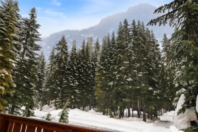 27 Alpental Strasse , Snoqualmie Pass, WA 98068 - Photo 21
