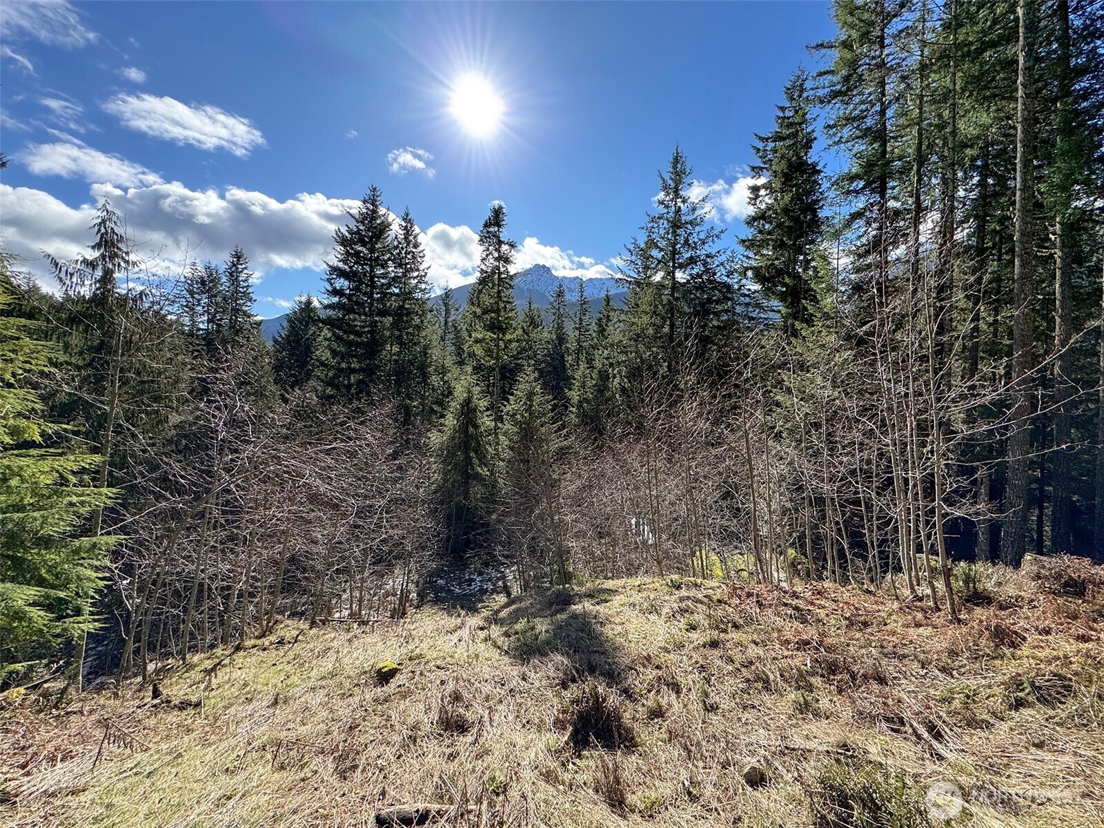 9999 Lake Dawn Road , Port Angeles, WA 98362