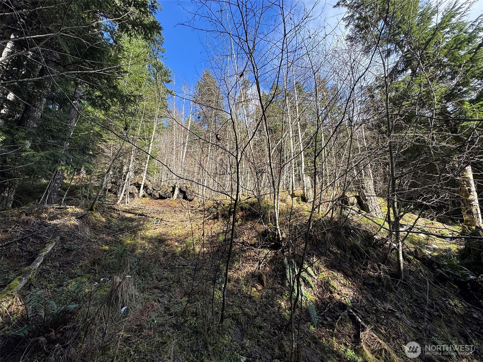 9999 Lake Dawn Road , Port Angeles, WA 98362