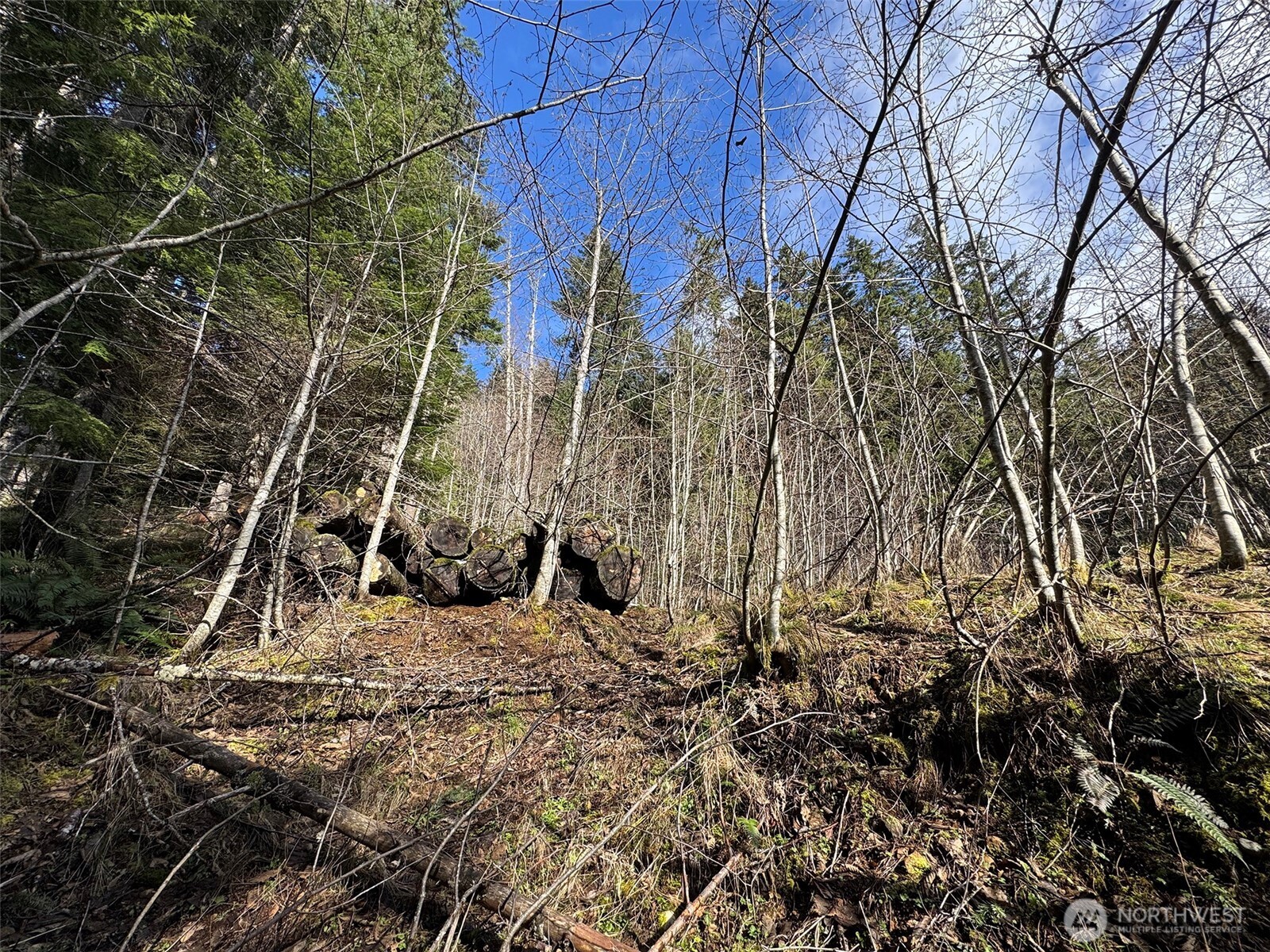 9999 Lake Dawn Road , Port Angeles, WA 98362