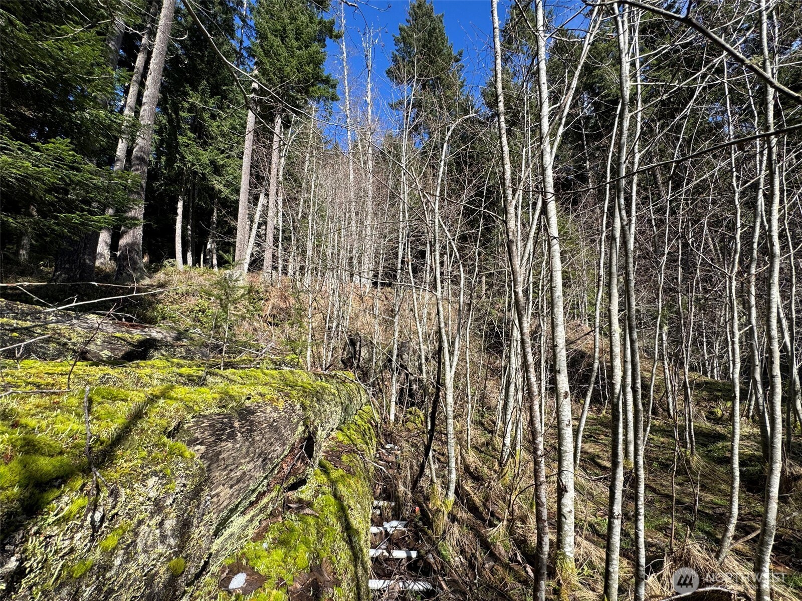 9999 Lake Dawn Road , Port Angeles, WA 98362