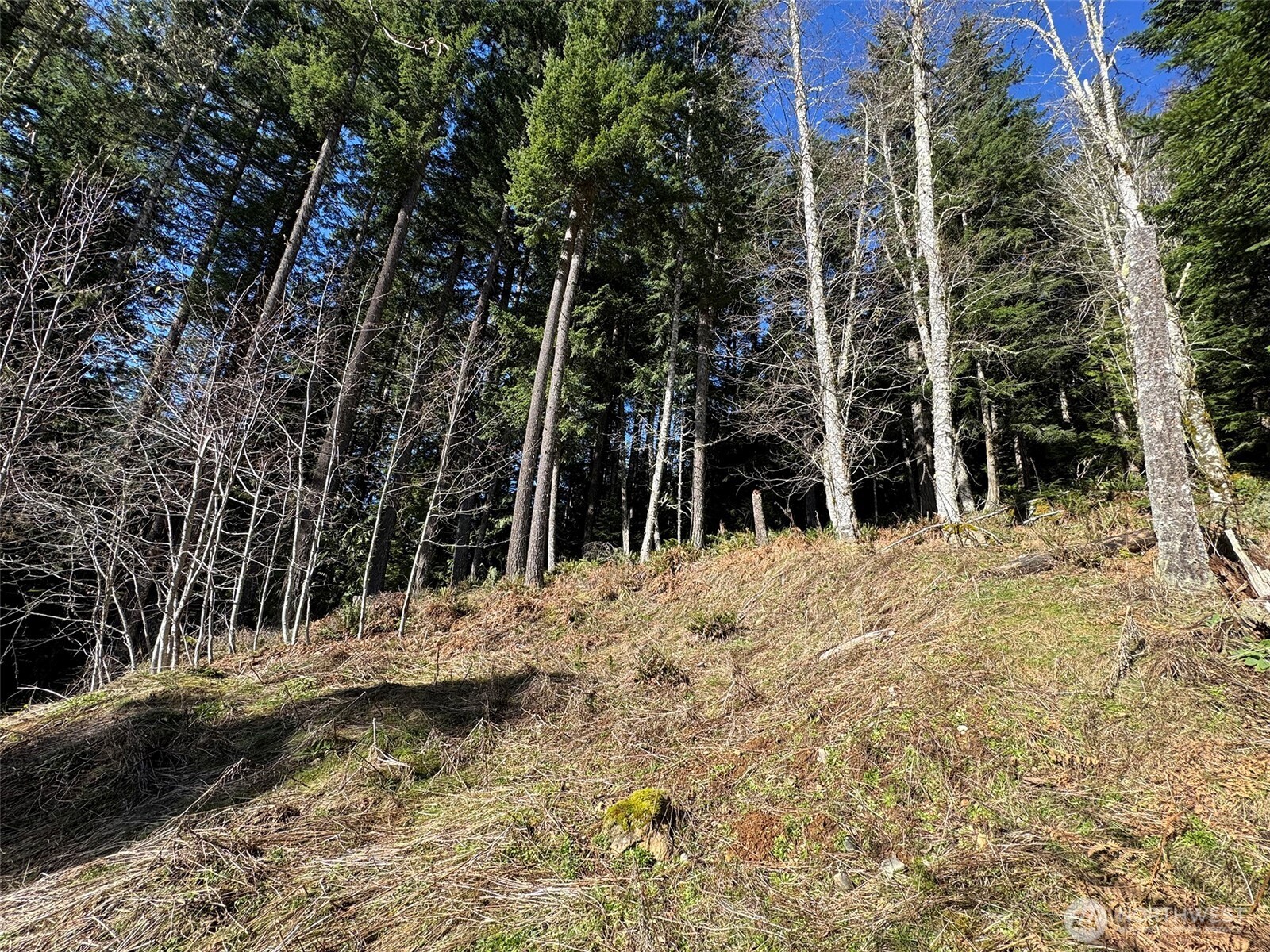 9999 Lake Dawn Road , Port Angeles, WA 98362