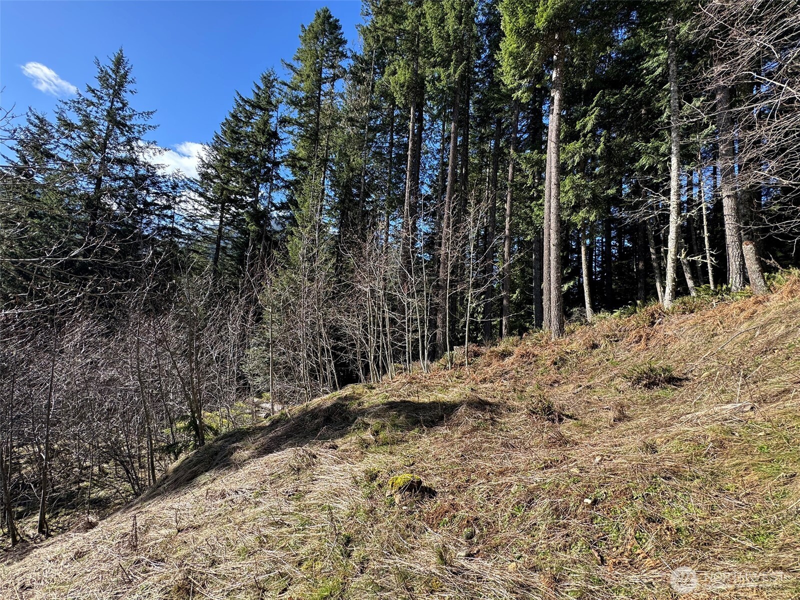 9999 Lake Dawn Road , Port Angeles, WA 98362