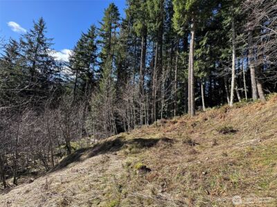 9999 Lake Dawn Road , Port Angeles, WA 98362 - Photo 15