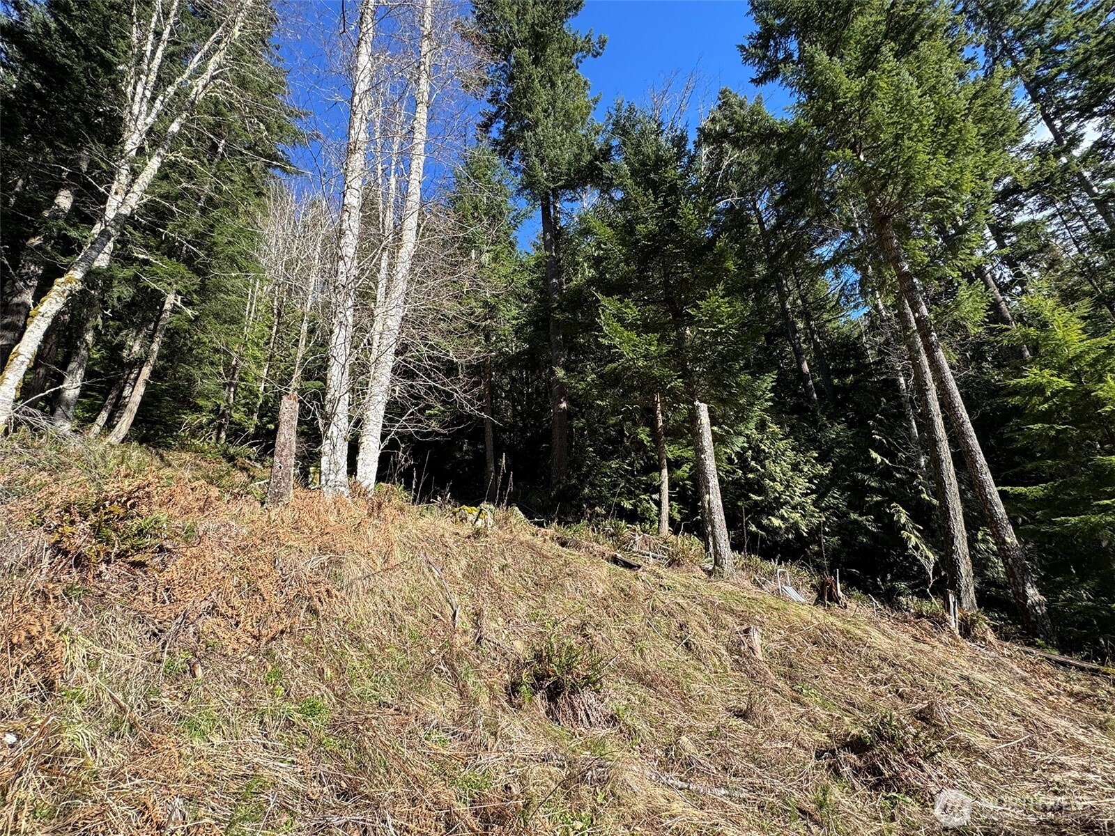 9999 Lake Dawn Road , Port Angeles, WA 98362